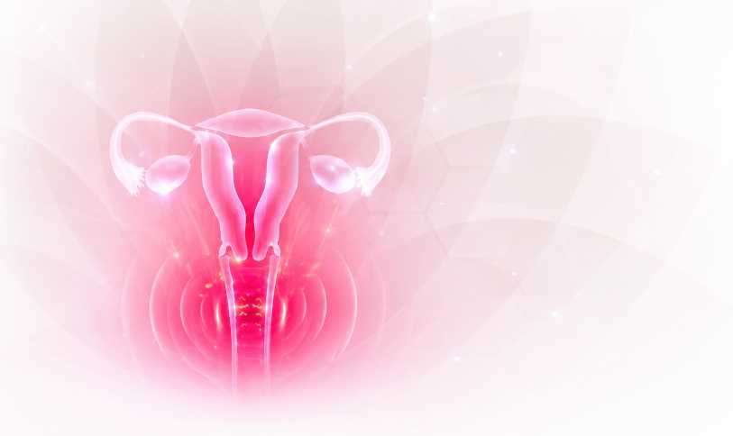 Des solutions pour le vaginisme